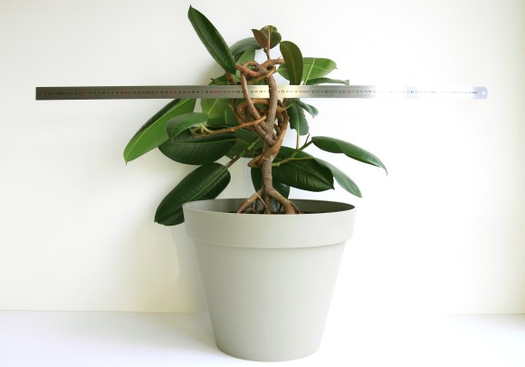 Rendezvous1.©X.Brandeis©